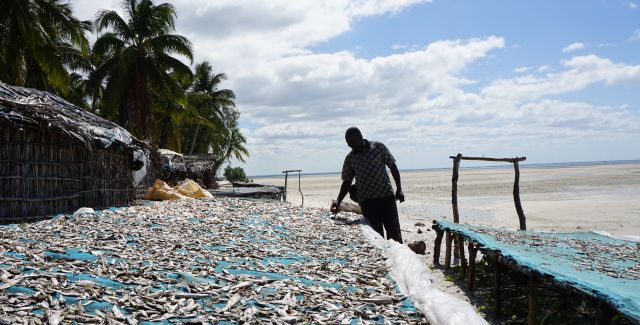 Fisherman dries his catch in the sun in Mozambique