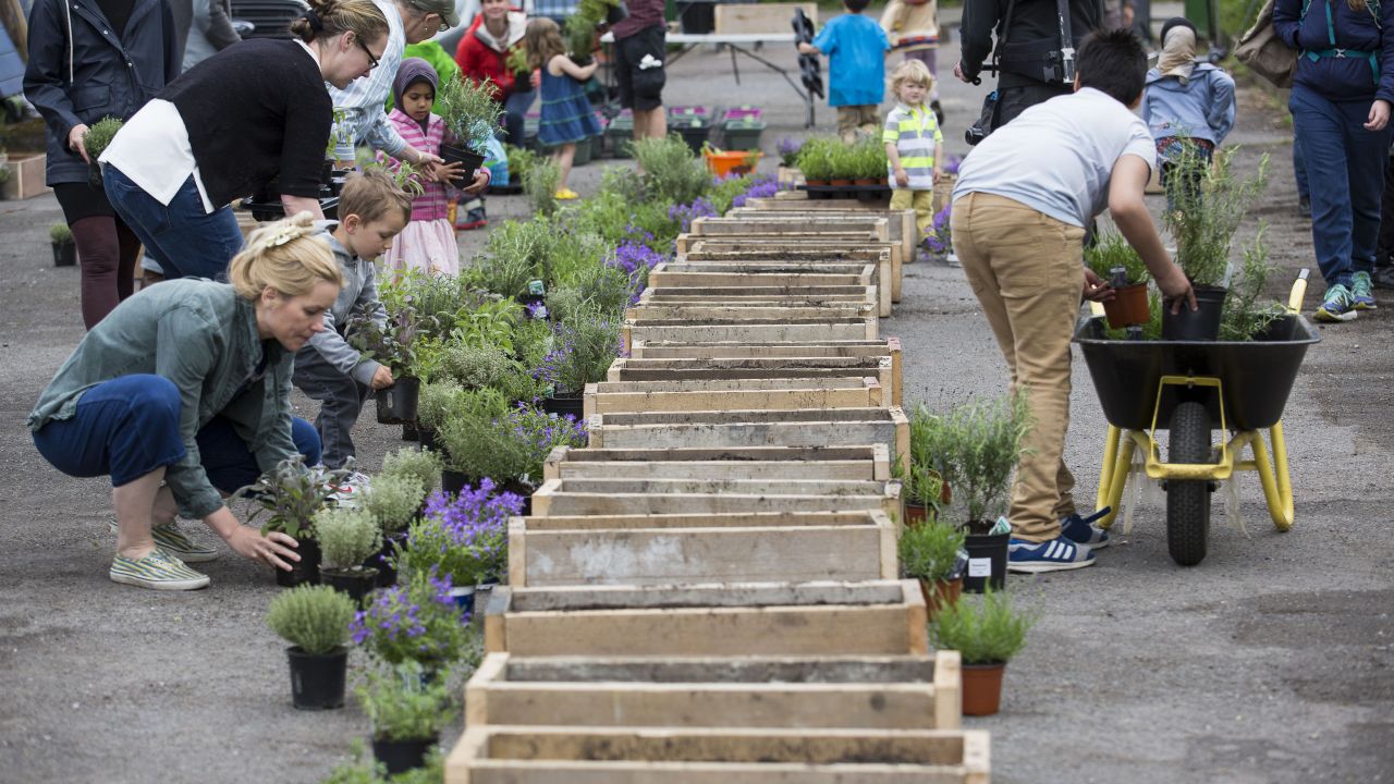 Neighbours coming together in Hackney to make their streets and front gardens greener