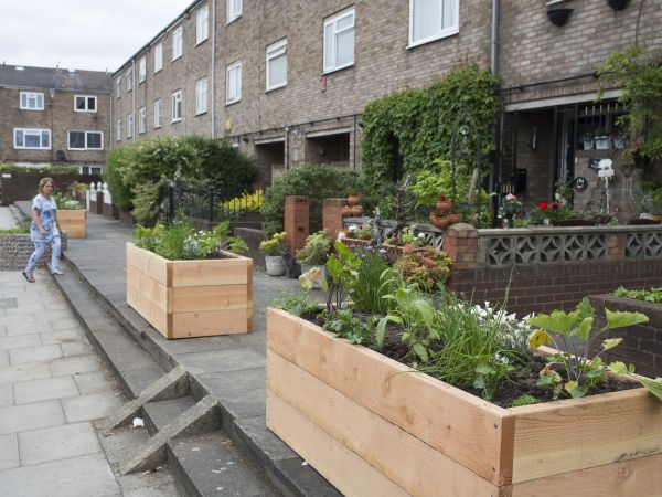 Planter boxes lining a street in front of terrace housing in Hackney, London