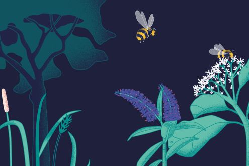 Bee Saver Kit Phase 2 2020 Illustration