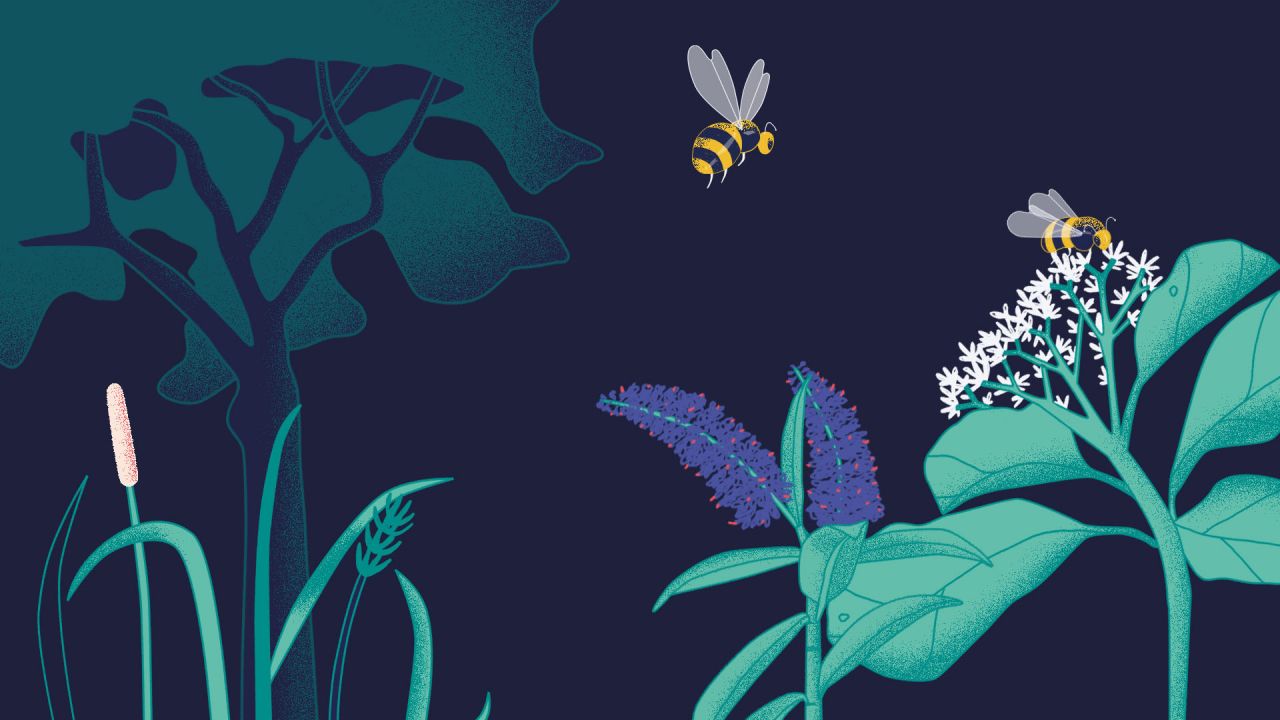 Bee Saver Kit Phase 2 2020 Illustration