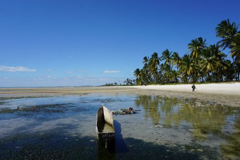 Sunny beach with fishing gear in the sea