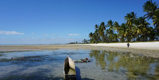 Sunny beach with fishing gear in the sea