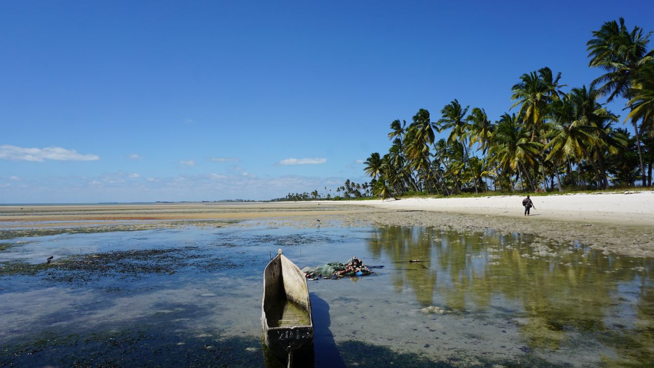 Blue sky over a beach with palm trees, and fishing gear in the water