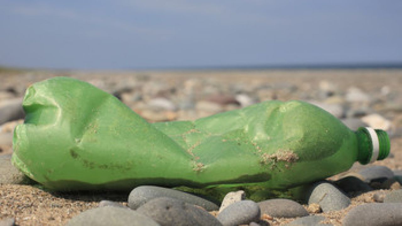 What you can do to help stop plastic pollution
