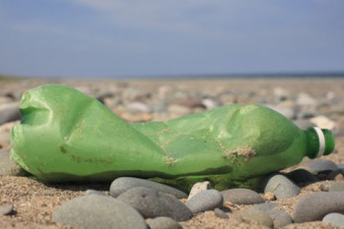 What you can do to help stop plastic pollution