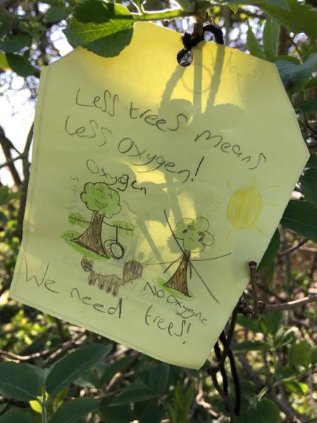 Local children pinned notes onto trees at Rimrose Valley