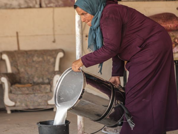 A woman in a hijab and jilbaab pouring white liquid, looks like milk, from a large metal container into a bucket