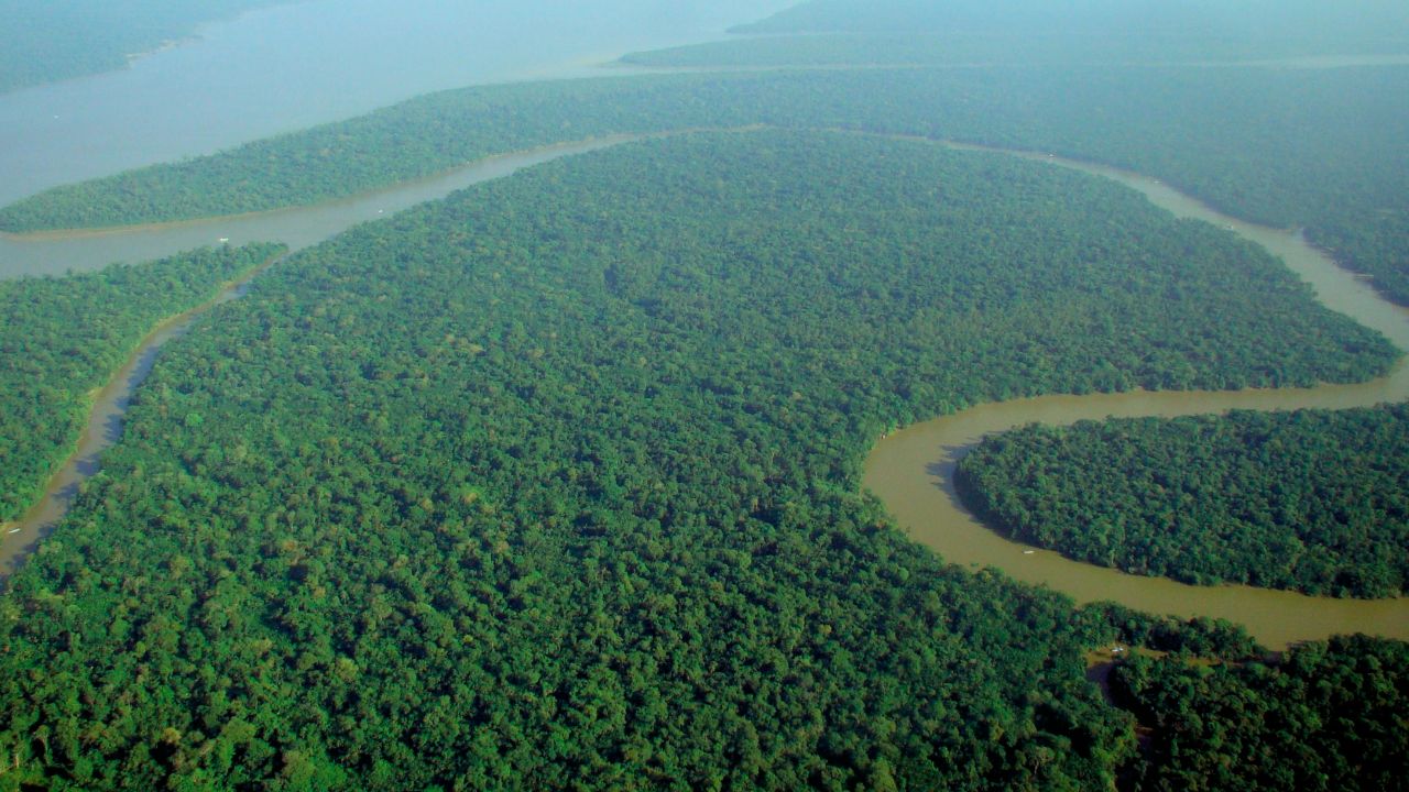 Aerial view of the Amazon rainforest