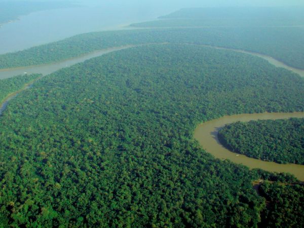 Aerial view of the Amazon rainforest