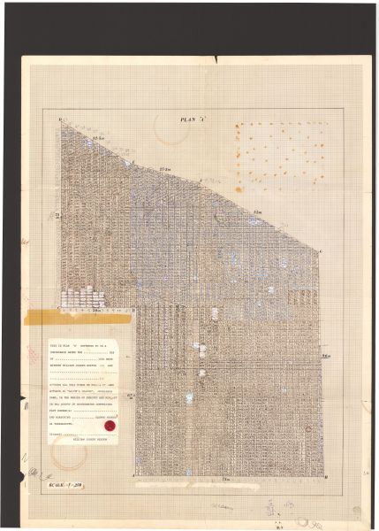 The original plan of Alice's Meadow on Otmoor in Oxfordshire, divided into 3,500 plots