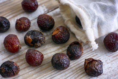 Alternatives to plastic include these soap nuts for washing laundry – soap nuts spilling from textile bag on wooden background