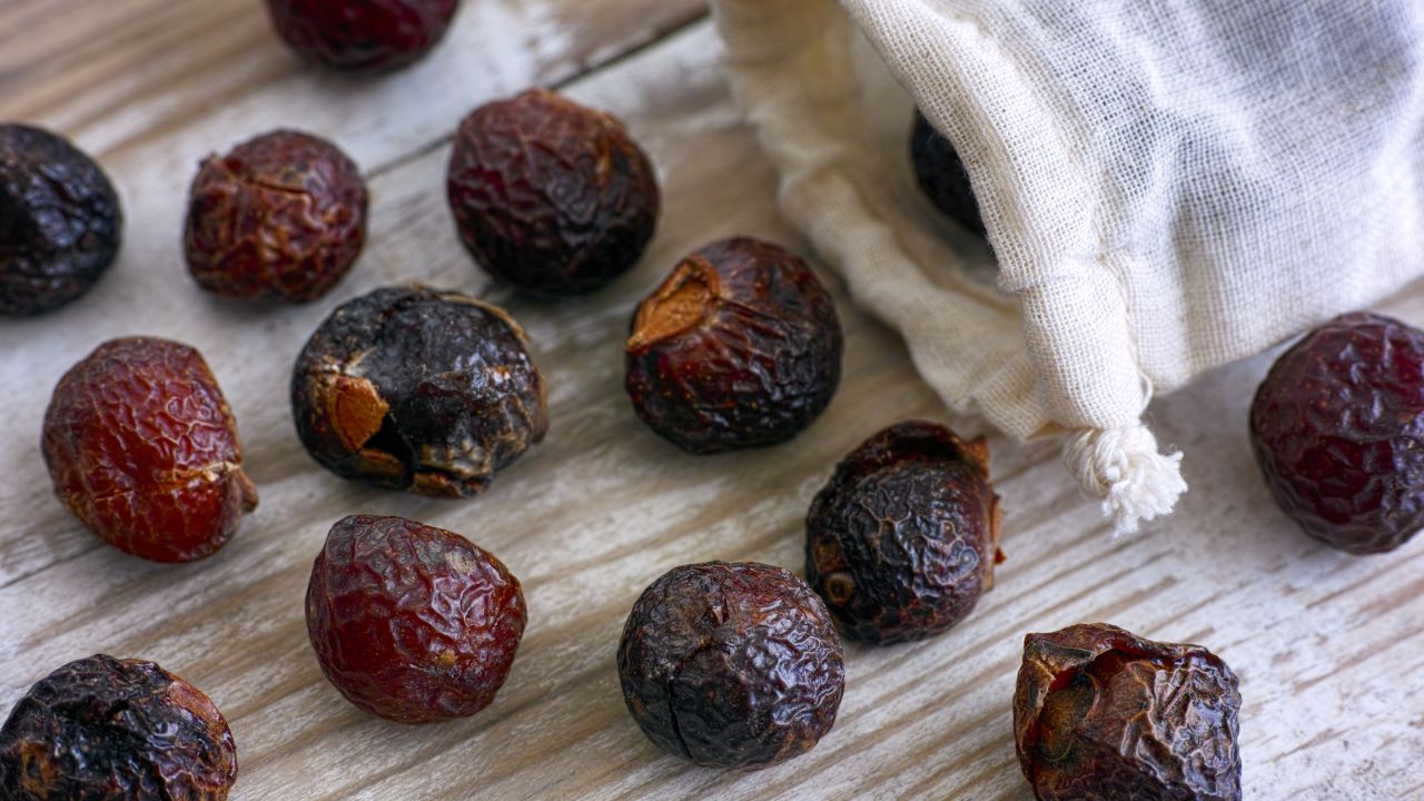Alternatives to plastic include these soap nuts for washing laundry – soap nuts spilling from textile bag on wooden background