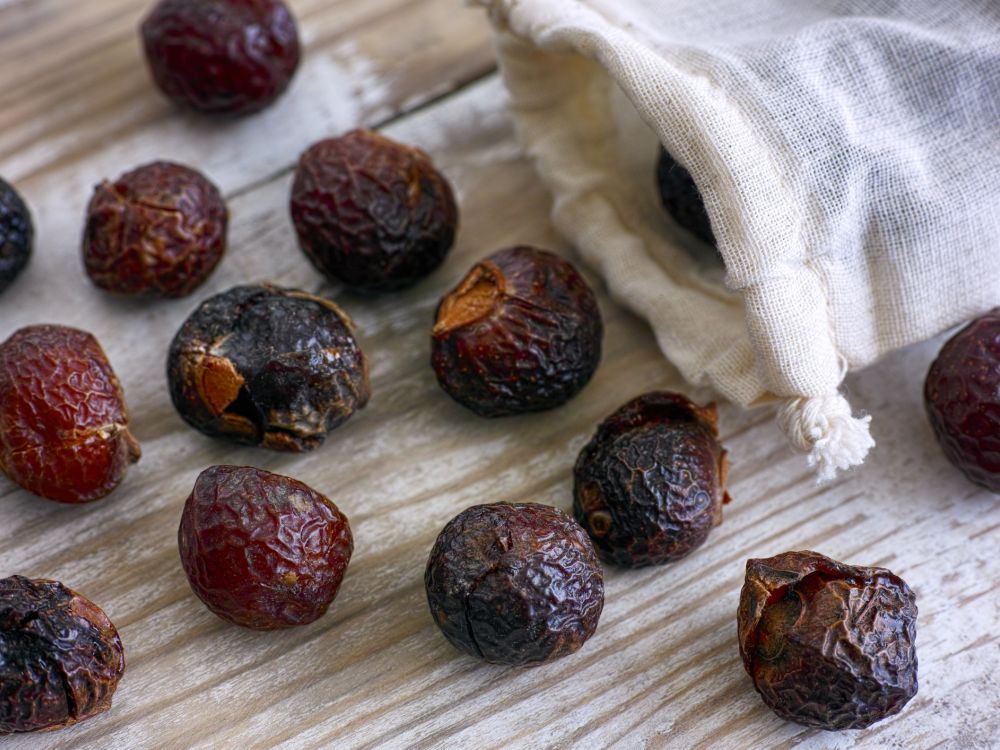 Alternatives to plastic include these soap nuts for washing laundry – soap nuts spilling from textile bag on wooden background