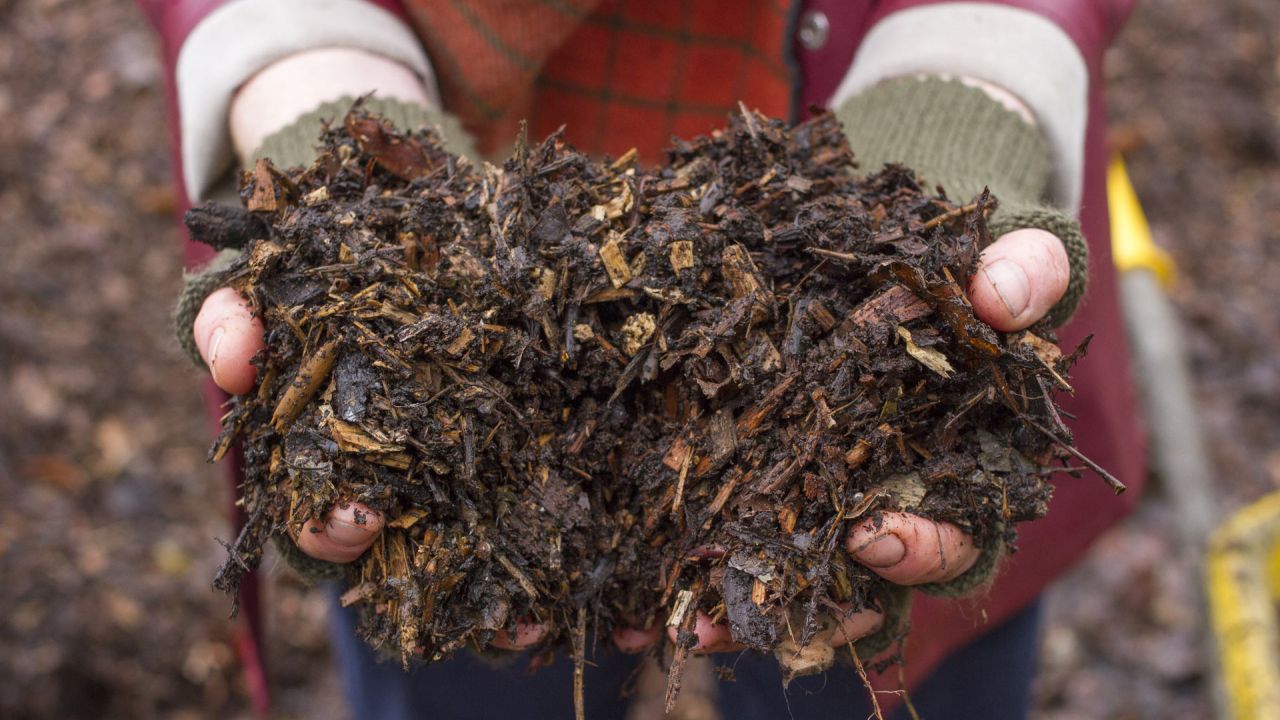 Alys Fowler holding handfuls of homemade compost