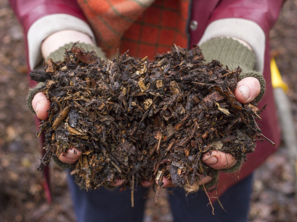 Alys Fowler holding handfuls of homemade compost