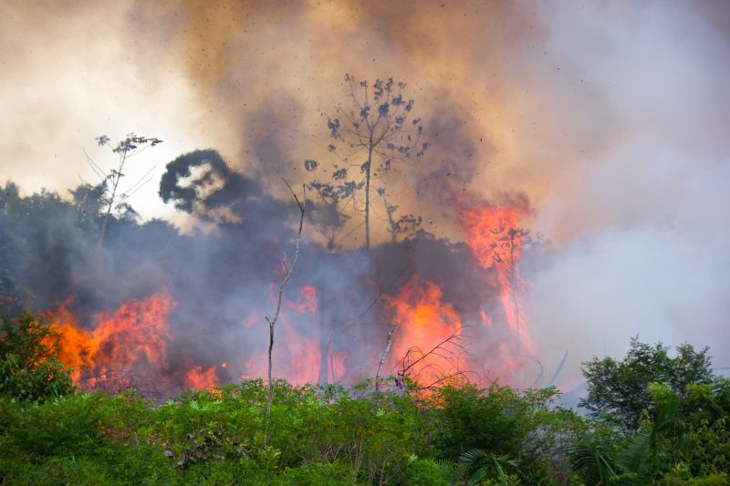 Fires burning in Amazon