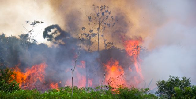 Fires burning in Amazon