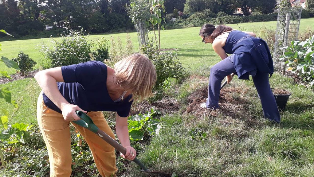 Two women digging around fruit trees and flower beds