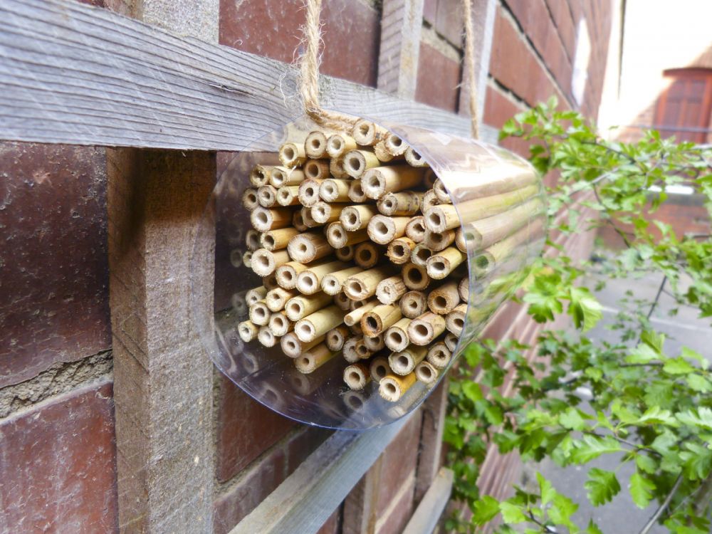 Homemade bee hotel attached to a wall of a house