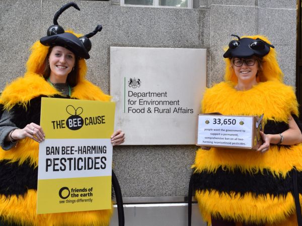 2 campaigners dressed as bees with 33,000+ anti-neonic signatures at DEFRA
