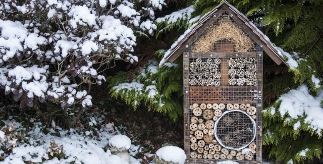 Bee hotel in snowy garden