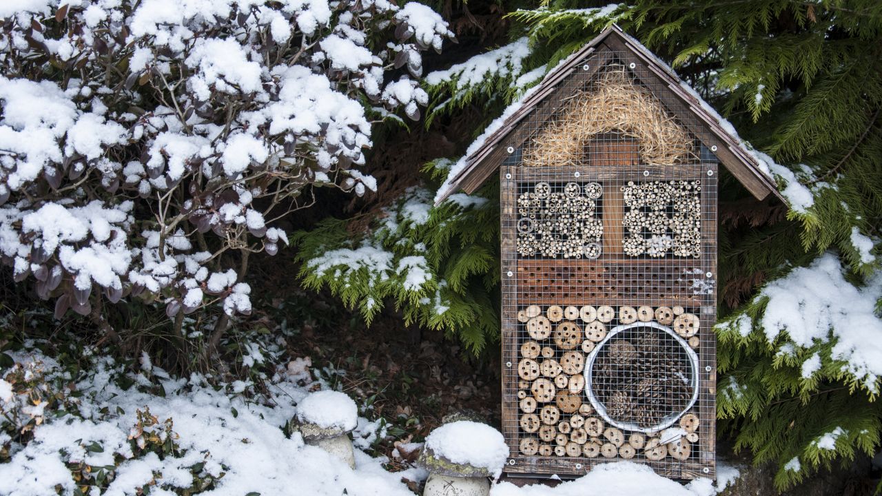 Bee hotel in snowy garden