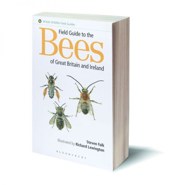 Field Guide to the Bees of Great Britain & Ireland