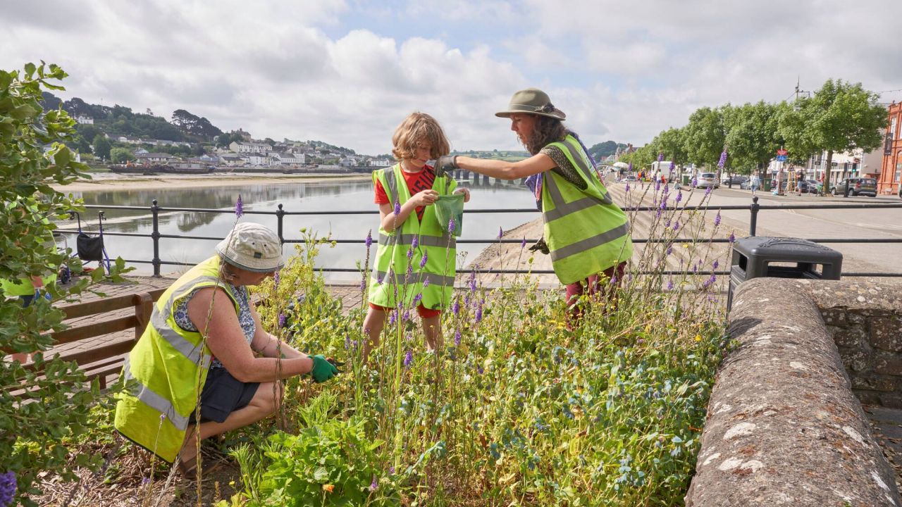 Volunteer gardeners in a flowerbed next to an estuary