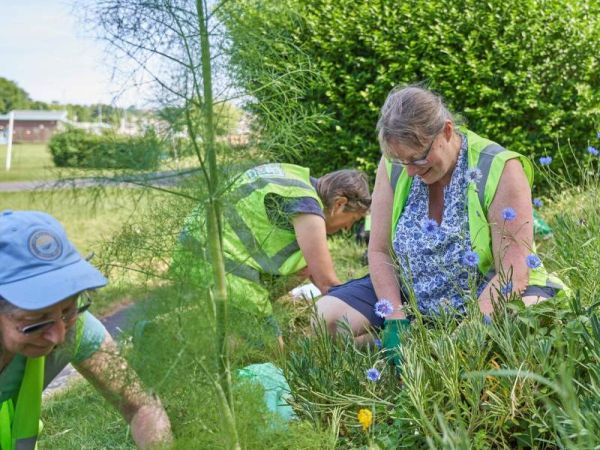 Three volunteer gardeners surrounded by flowers