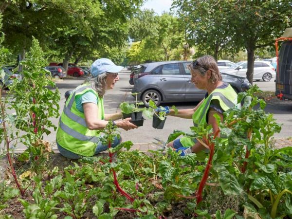 A vegetable bed in a car park with two women holding plants