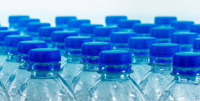 Rows of used plastic bottles.