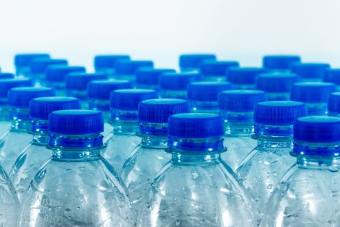 Rows of used plastic bottles.