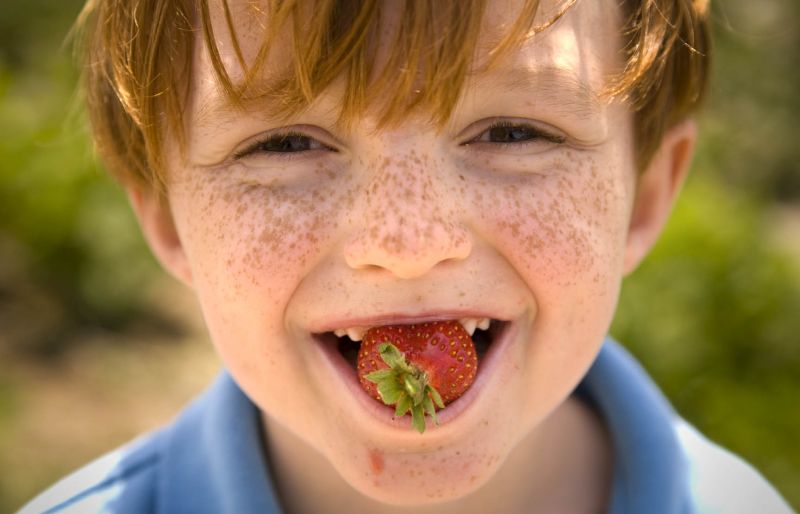 Boy eating strawberry