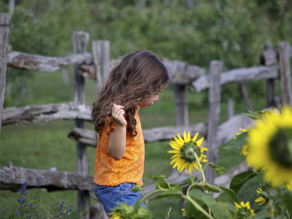 Child and sunflowers
