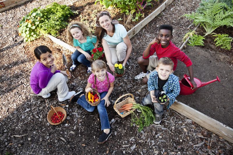 Children in vegetable allotment