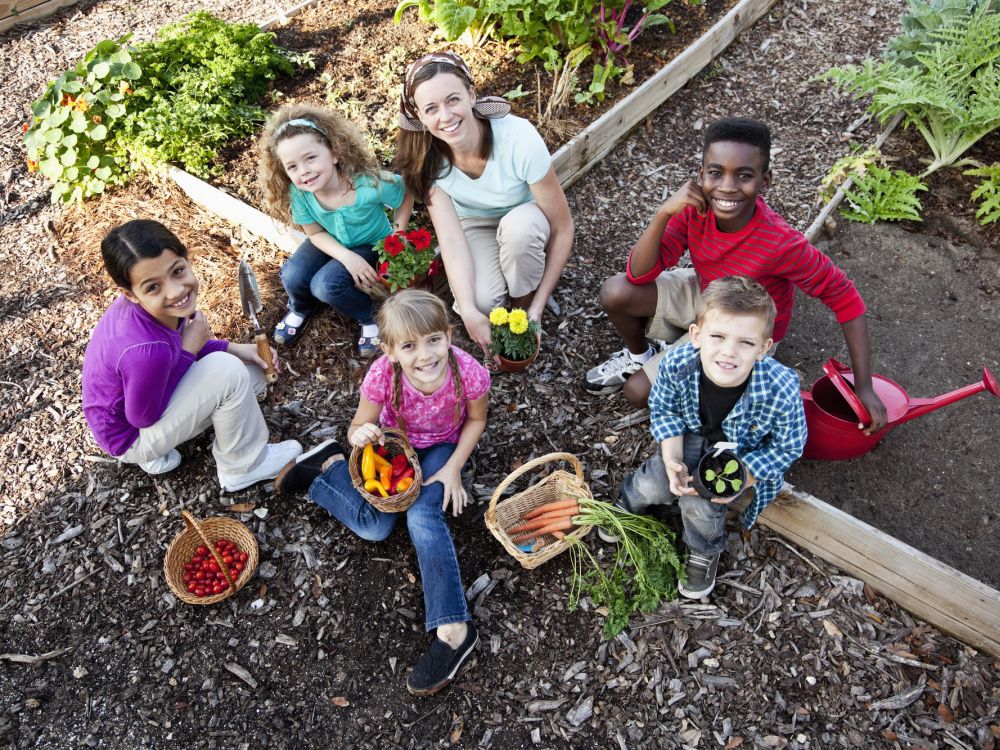 Children in vegetable allotment
