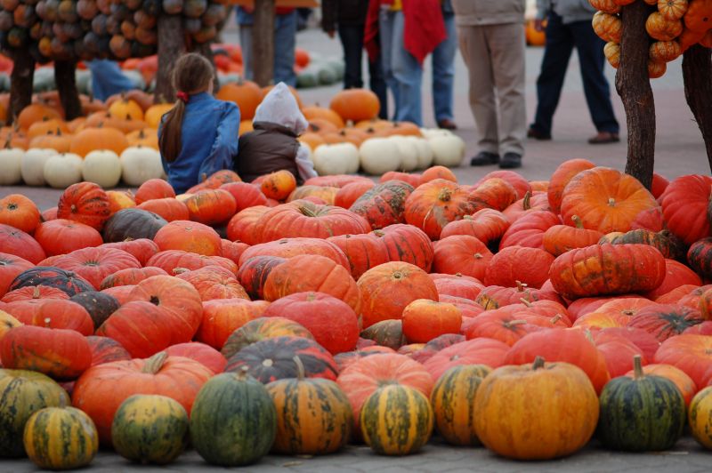 Large piles of pumpkins of different colours with people standing around.