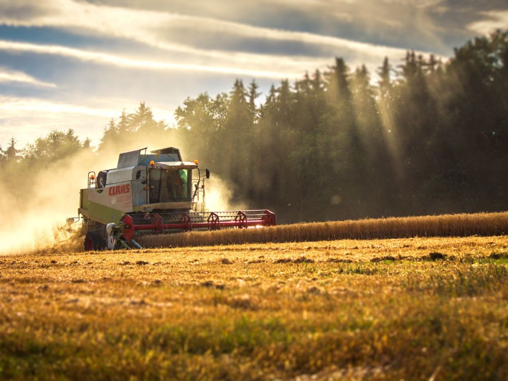 A combine harvester