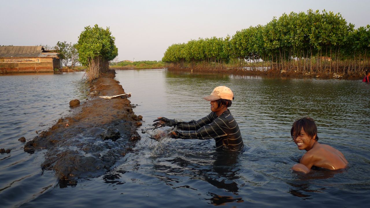 Two workers taking part in the construction of a shrimp farm, Pekalongan, Central Java