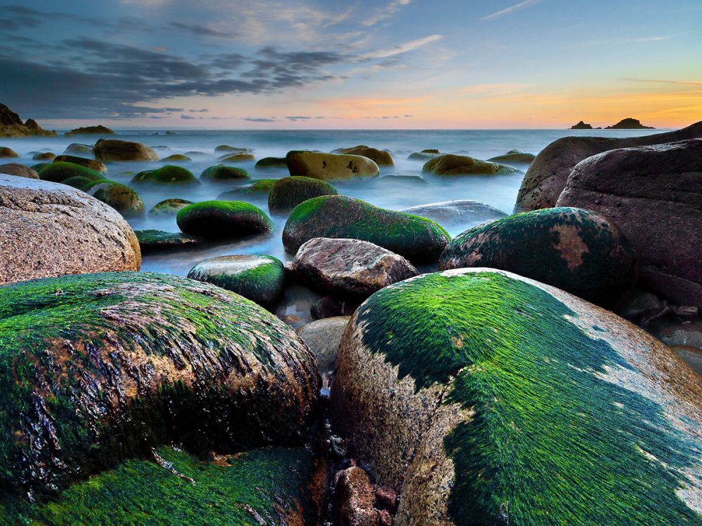 Seaweed covered rocks on a misty beach at sunset