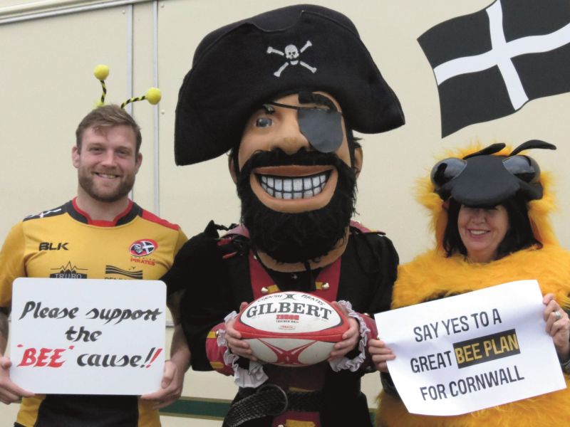 Cornwall Pirates rugby team and bees unite