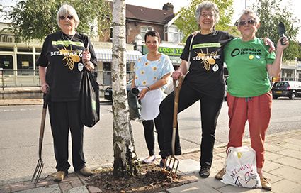 Tree pit seeding on Wanstead High Street, London