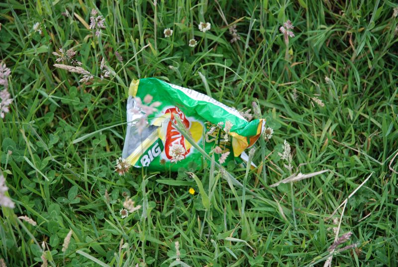 An empty Walkers salt-and-vinegar crisp packet lying in grass