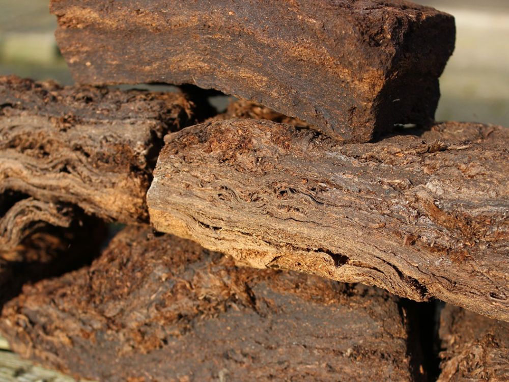 Slabs of cut peat drying in a field