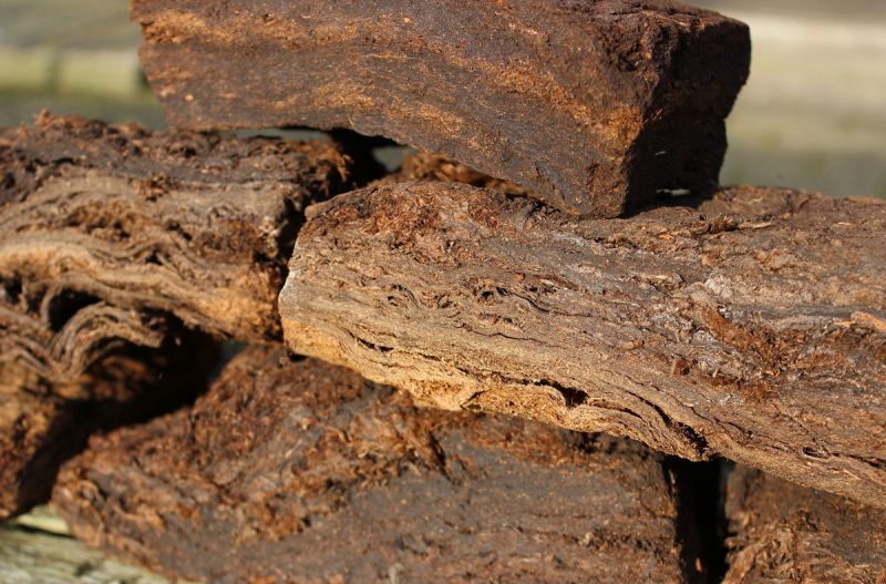 Slabs of cut peat drying in a field