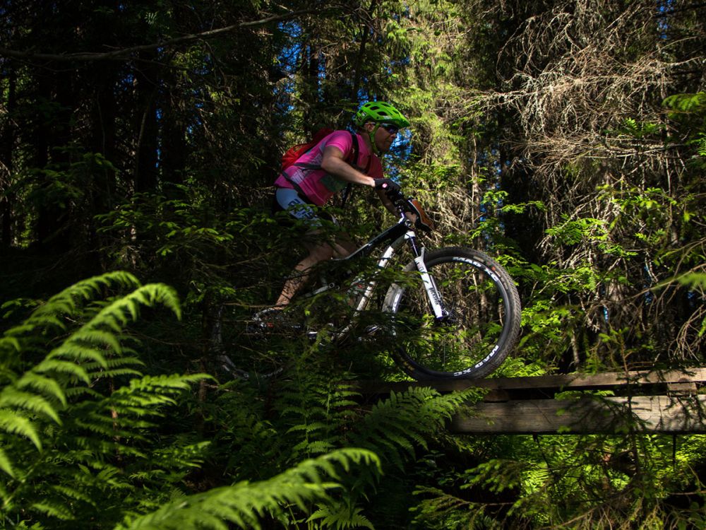 Cyclist riding through a green forest