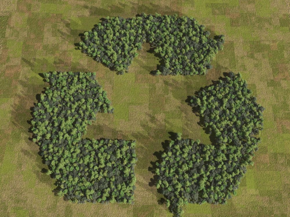 Recycling symbol made of trees
