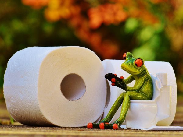 ceramic frog sitting on tiny toilet surrounded by toilet roll