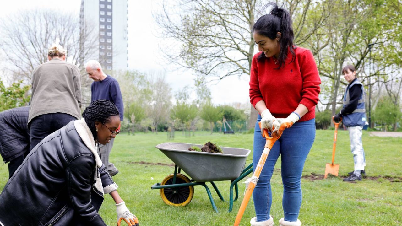 Two women digging into a grass lawn with a wheelbarrow behind them